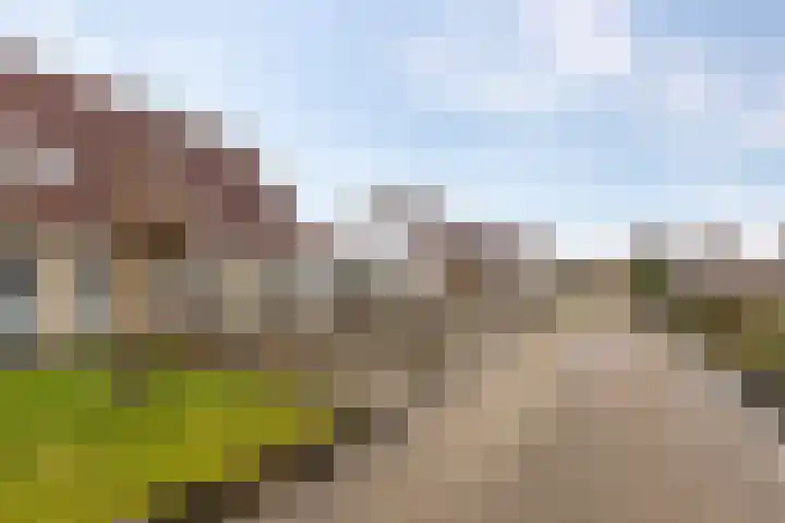 De Oever 8 Opende thumbnail 40