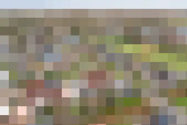 De Oever 8 Opende thumbnail 41
