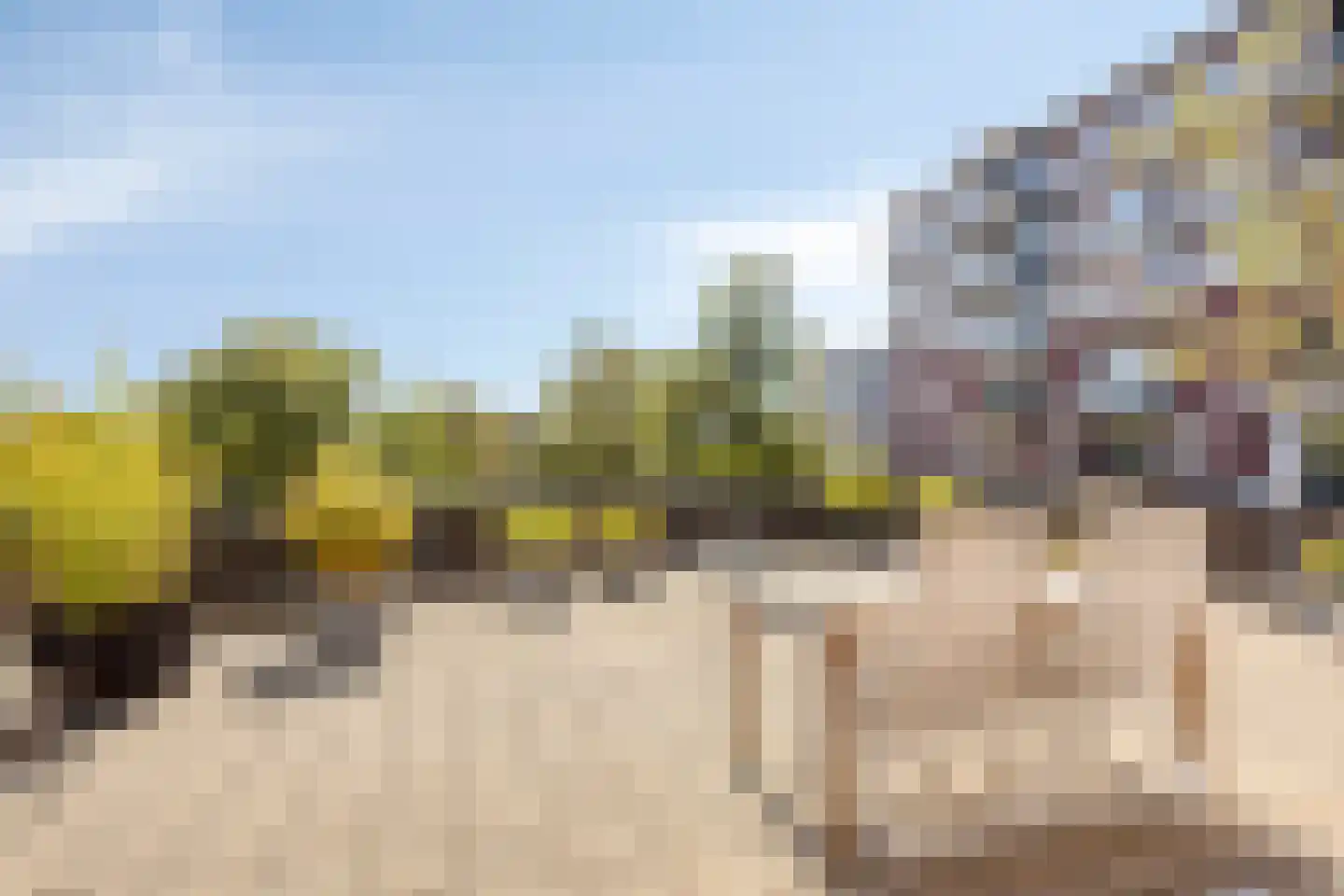 De Oeverlanden 201 Purmerend thumbnail 47