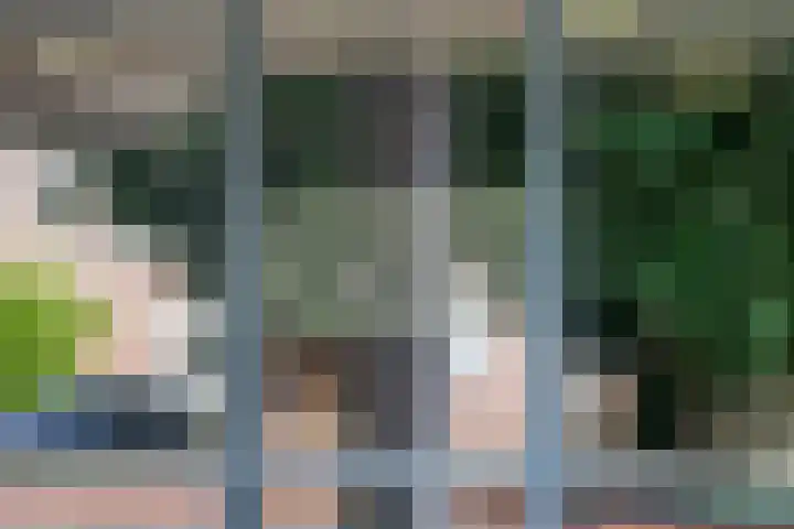 De Oeverlanden 258 Purmerend thumbnail 5