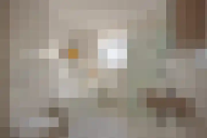 De Oeverlanden 277 Purmerend thumbnail 4