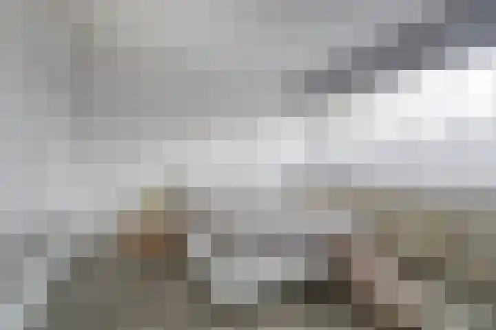 De Oeverloper 65 Dronten thumbnail 17