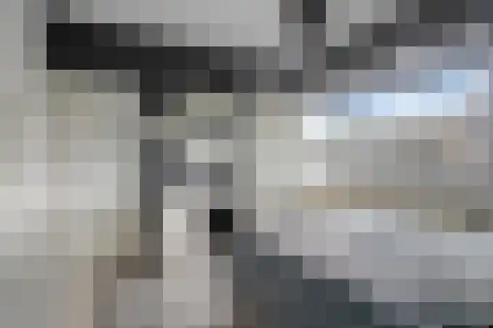 De Oeverloper 65 Dronten thumbnail 20