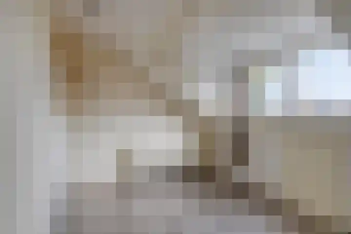 De Oeverloper 65 Dronten thumbnail 26