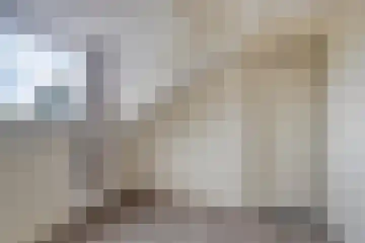 De Oeverloper 65 Dronten thumbnail 27