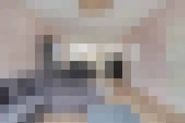 De Oeverloper 65 Dronten foto 3