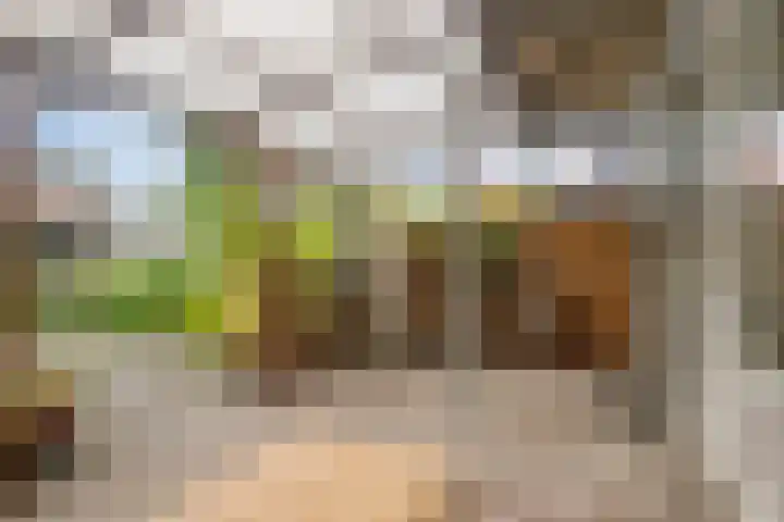 De Oeverloper 65 Dronten thumbnail 30