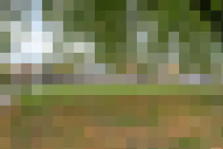 De Oeverloper 65 Dronten thumbnail 34
