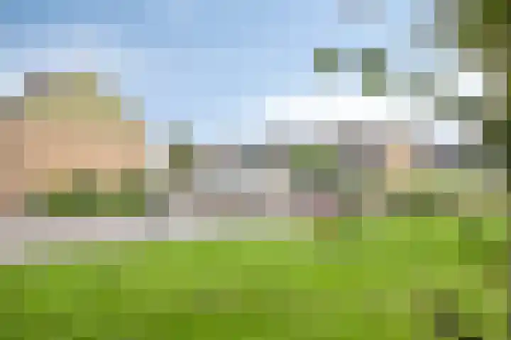 De Oeverloper 65 Dronten thumbnail 35