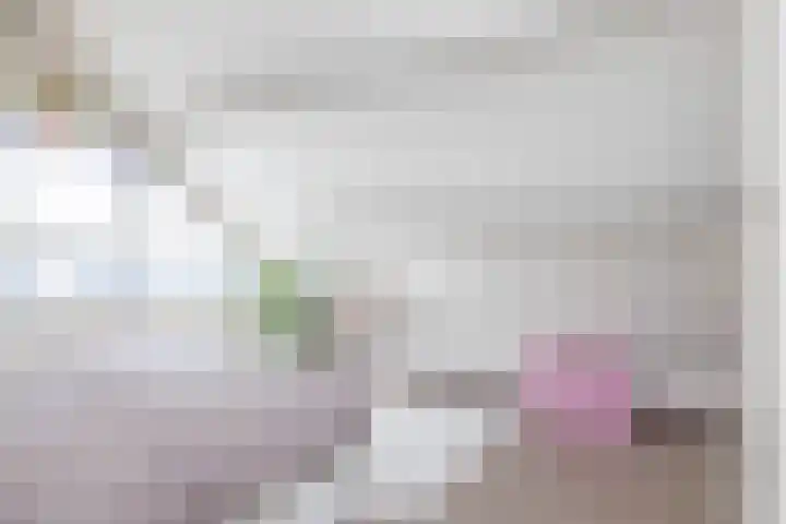 De Oeverloper 65 Dronten thumbnail 41