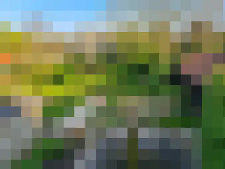 De Oeverloper 65 Dronten thumbnail 42