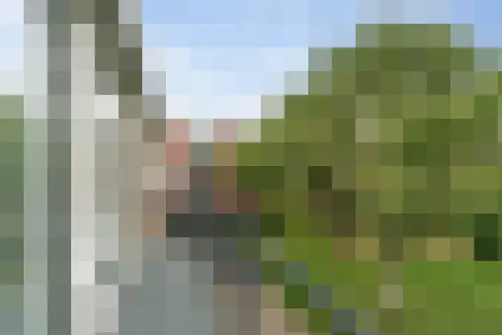 De Oeverloper 65 Dronten thumbnail 46