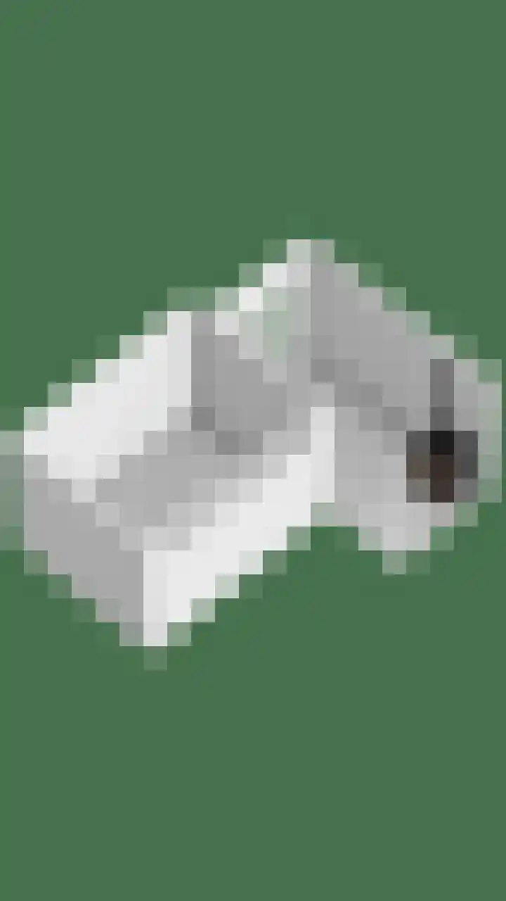 De Oeverloper 65 Dronten thumbnail 48