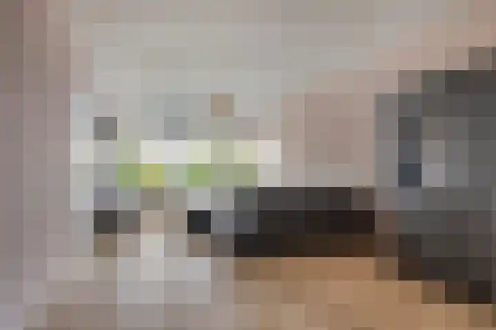 De Oeverloper 65 Dronten thumbnail 5