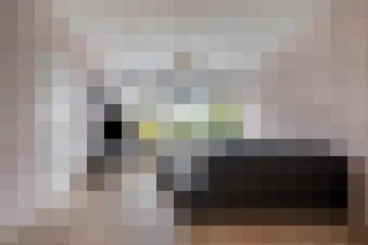 De Oeverloper 65 Dronten thumbnail 6