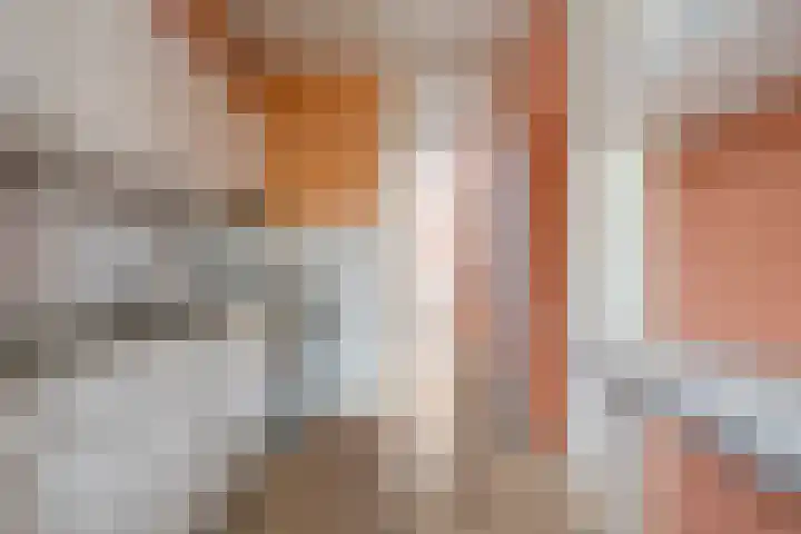 De Oeverloper 65 Dronten thumbnail 8