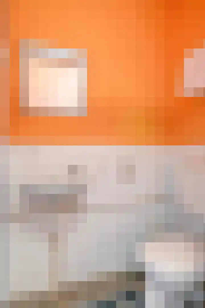 De Oeverloper 65 Dronten thumbnail 9