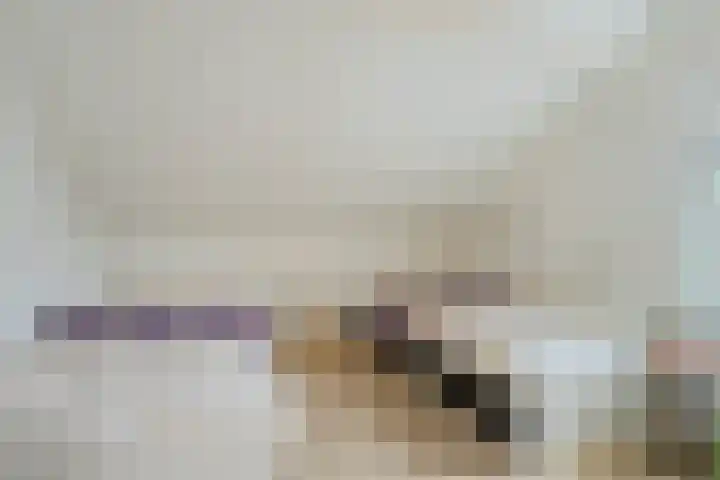 De Oeverzwaluw 9 Almelo thumbnail 20