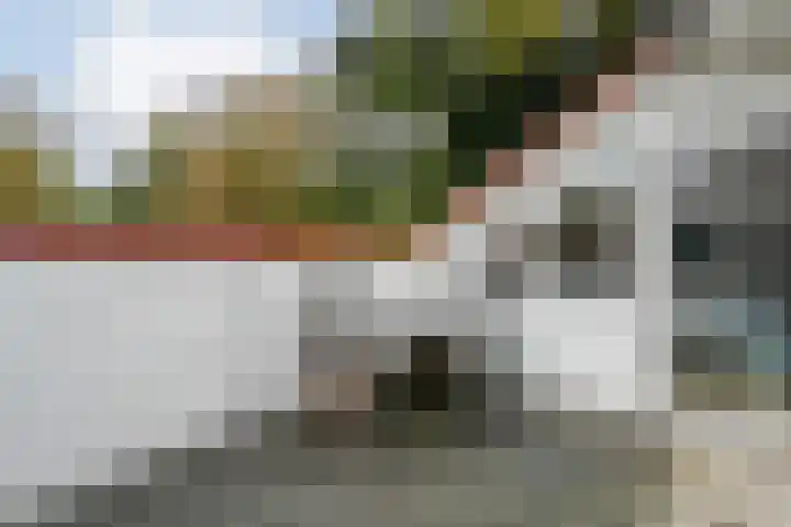 De Oeverzwaluw 9 Almelo thumbnail 26
