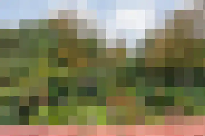 De Oeverzwaluw 9 Almelo thumbnail 31