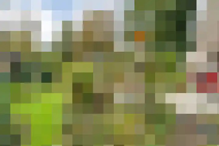 De Oeverzwaluw 9 Almelo thumbnail 32