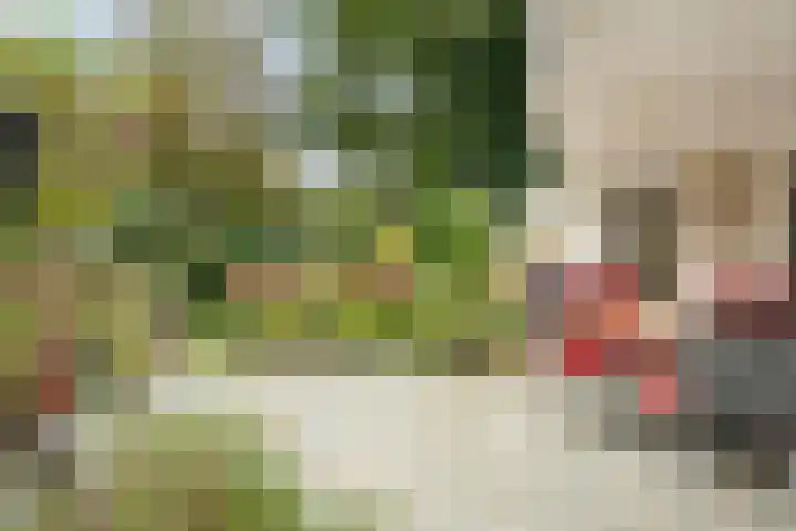 De Oeverzwaluw 9 Almelo thumbnail 33