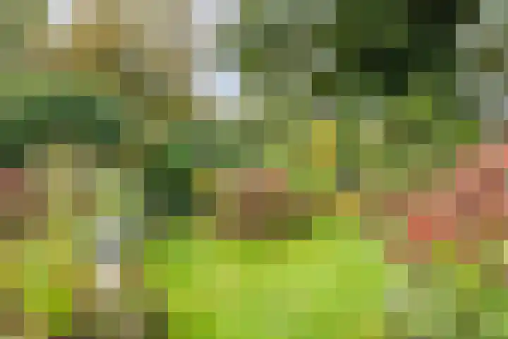 De Oeverzwaluw 9 Almelo thumbnail 35