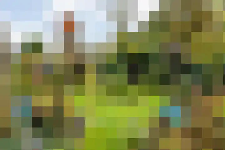 De Oeverzwaluw 9 Almelo thumbnail 36