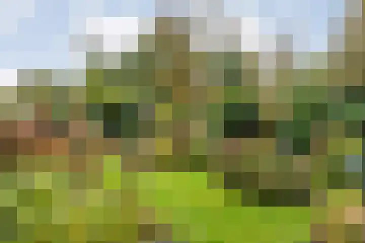 De Oeverzwaluw 9 Almelo thumbnail 37