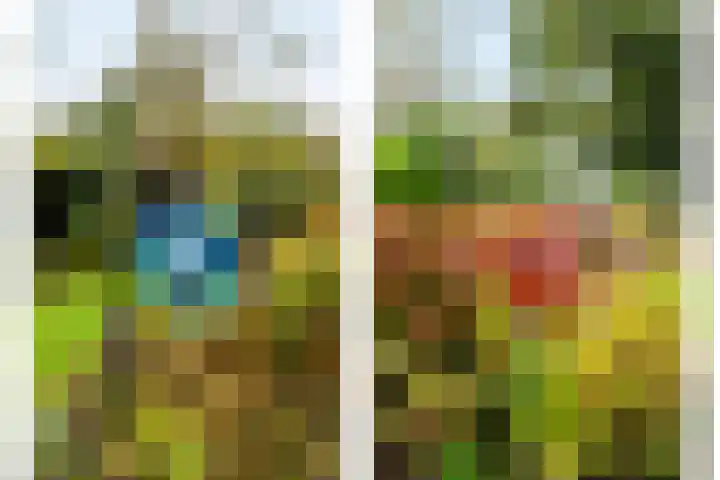 De Oeverzwaluw 9 Almelo thumbnail 38