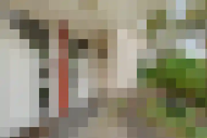 De Oeverzwaluw 9 Almelo thumbnail 4
