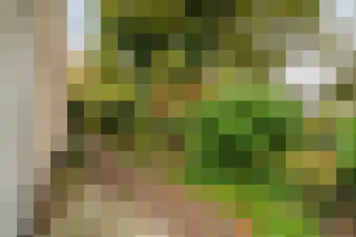 De Oeverzwaluw 9 Almelo thumbnail 41