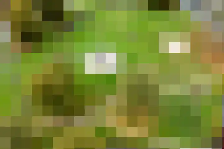 De Oeverzwaluw 9 Almelo thumbnail 42