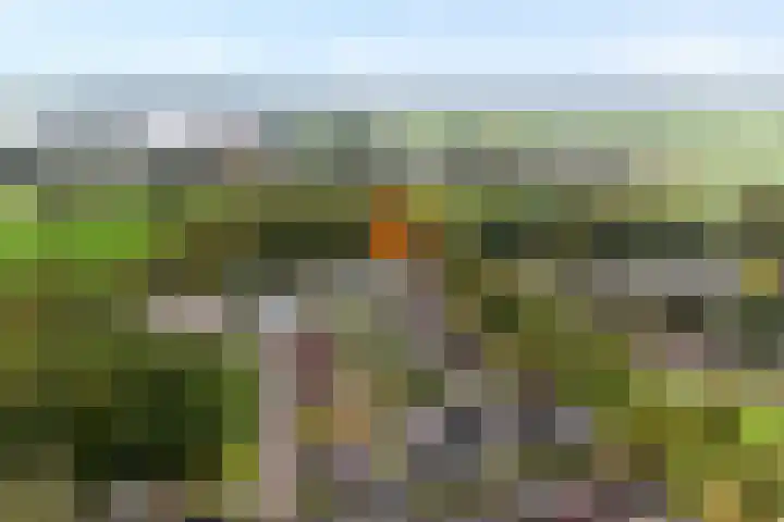 De Oeverzwaluw 9 Almelo thumbnail 43