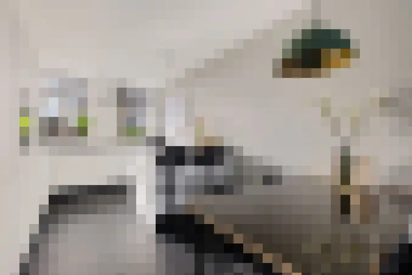 De Ôfset 7 Leeuwarden thumbnail 12