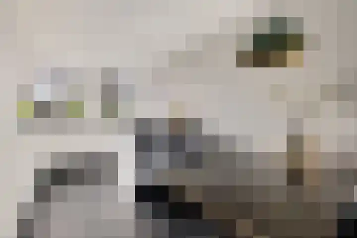 De Ôfset 7 Leeuwarden thumbnail 12