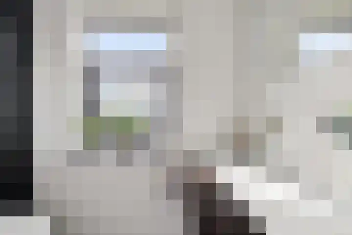 De Ôfset 7 Leeuwarden thumbnail 27