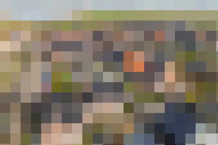 De Ôfset 7 Leeuwarden thumbnail 42