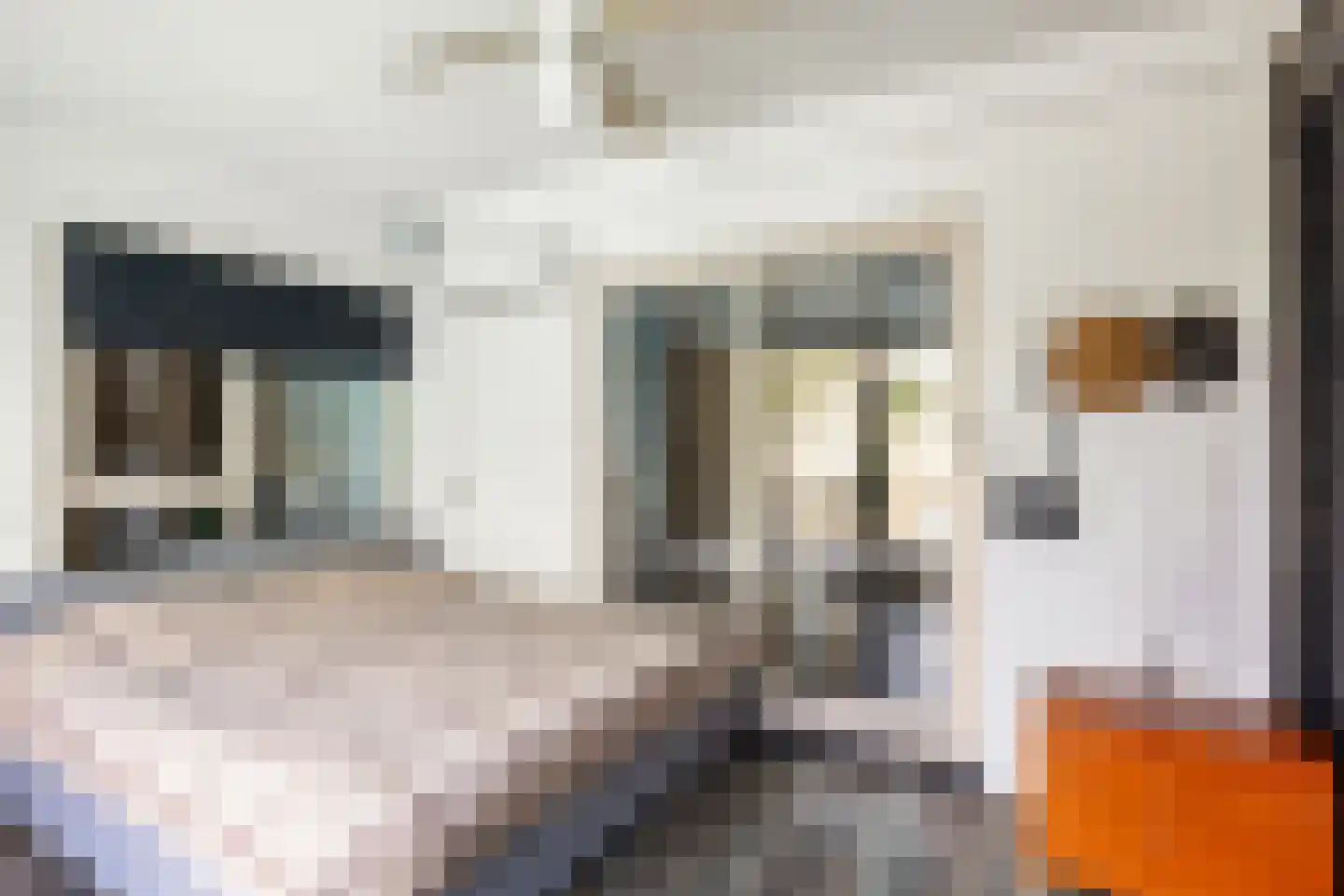 De Olde Ee 29 Boerakker thumbnail 30