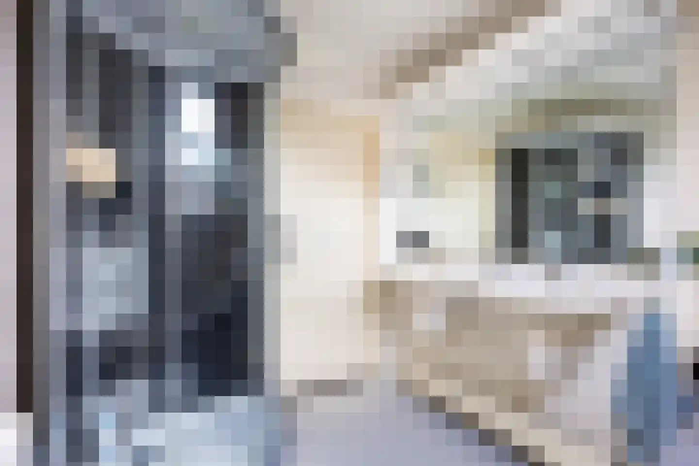 De Olde Ee 29 Boerakker thumbnail 4