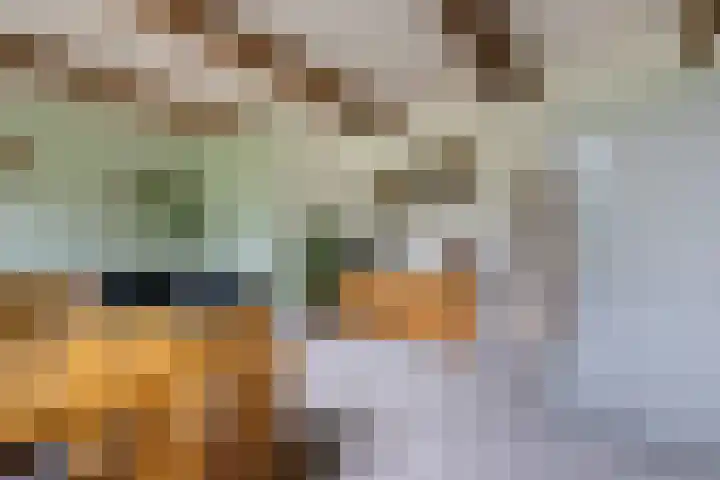 de Olde Hoek 2 Wachtum thumbnail 10