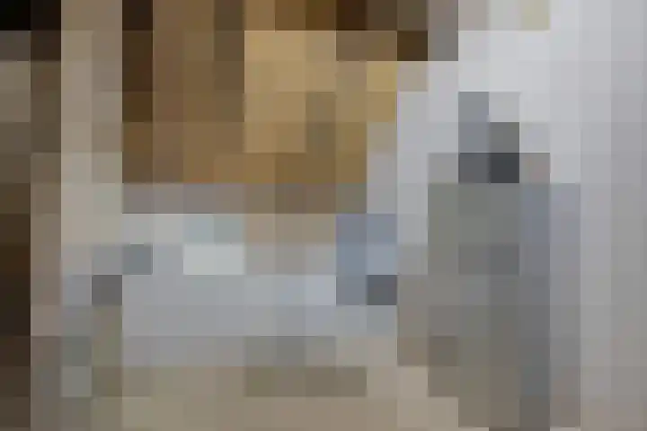 de Olde Hoek 2 Wachtum thumbnail 11