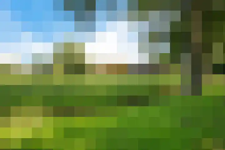 de Olde Hoek 2 Wachtum thumbnail 16