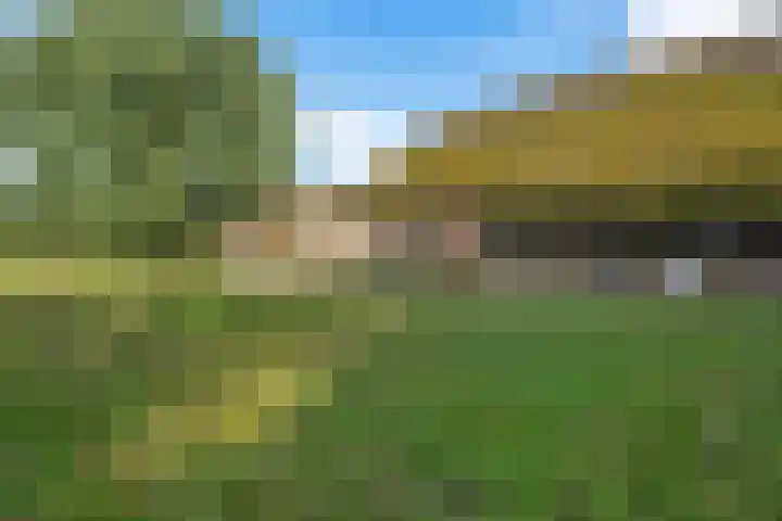 de Olde Hoek 2 Wachtum thumbnail 17