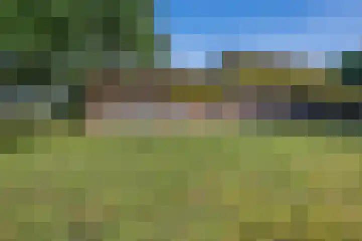 de Olde Hoek 2 Wachtum thumbnail 18