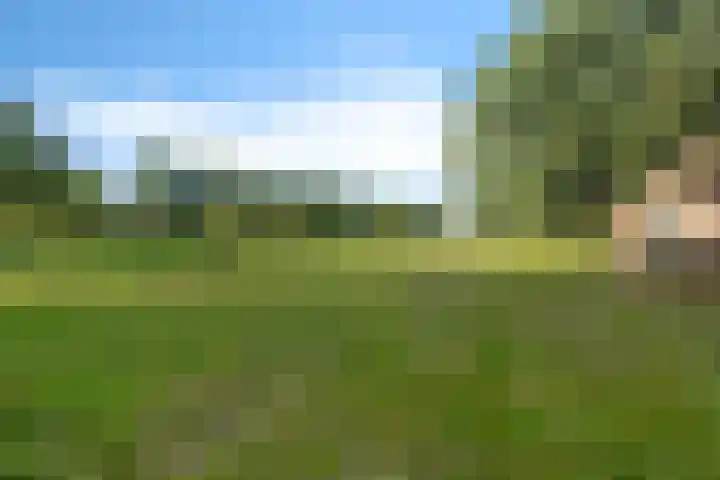 de Olde Hoek 2 Wachtum thumbnail 19