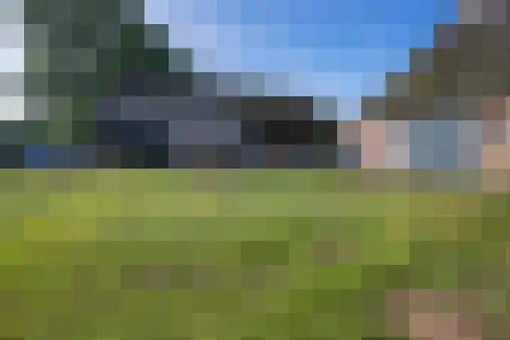 de Olde Hoek 2 Wachtum thumbnail 20
