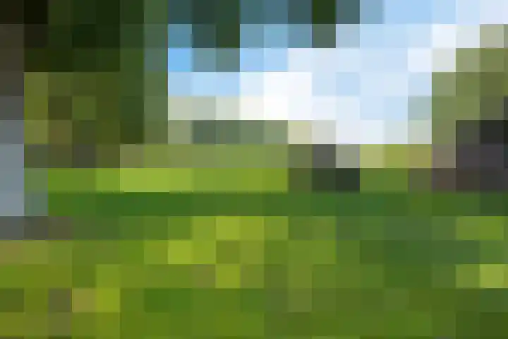 de Olde Hoek 2 Wachtum thumbnail 22
