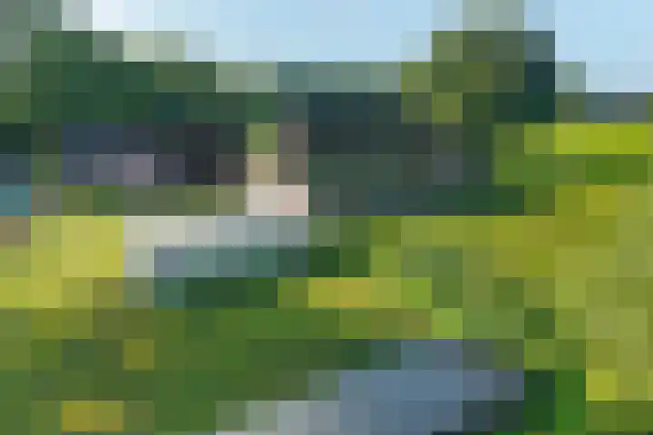 de Olde Hoek 2 Wachtum thumbnail 23