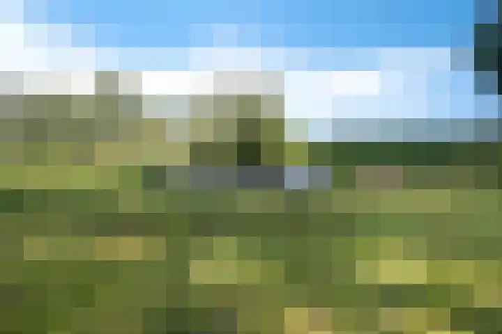 de Olde Hoek 2 Wachtum thumbnail 5